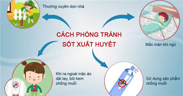 Tăng cường vệ sinh môi trường để phòng bệnh sốt xuất huyết