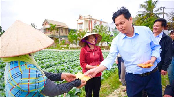 Tập trung thu hoạch rau và chăm sóc lúa Xuân sau Tết.