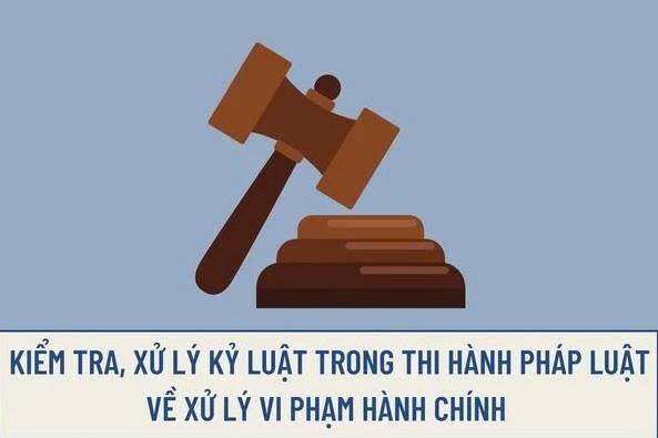 TỜ GẤP Giới thiệu một số điểm mới về kiểm tra, xử lý kỷ luật trong thi hành pháp luật về xử lý vi phạm hành chính