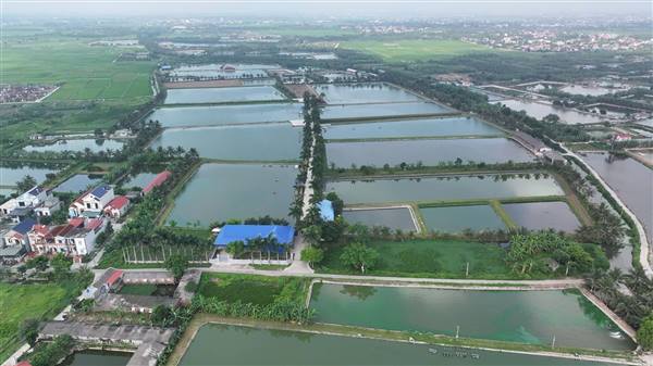TÂN KỲ HƯỚNG TỚI MÔ HÌNH “XÃ KHÔNG PHÁT THẢI” VÀO NĂM 2050