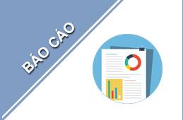 Báo cáo kết quả thực hiện chính quyền địa phương 02 cấp,  cải cách hành chính, chuyển đổi số tháng 01;  phương hướng, nhiệm vụ trọng tâm tháng 02/2026