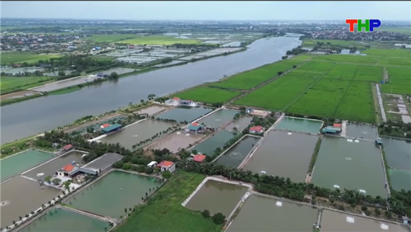 NUÔI CÁ THỜI CÔNG NGHỆ