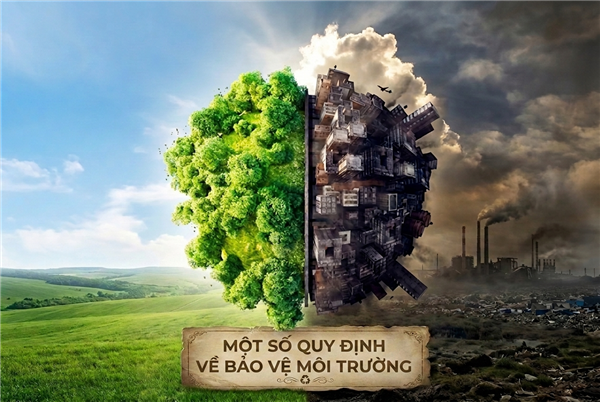 Một số quy định về bảo vệ môi trường