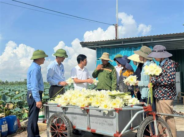 Xây dựng nông thôn hiện đại, thông minh, tiệm cận tiêu chí đô thị