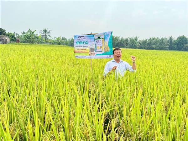 Hội nghị tham quan đầu bờ, đánh giá giống lúa vụ Mùa năm 2026