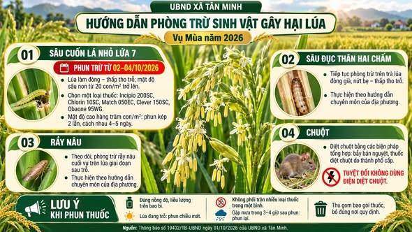 Chủ động phòng trừ sinh vật gây hại, bảo vệ lúa vụ Mùa 2026