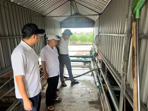 Thông tin nhanh về chất lượng và việc cung cấp nước của nhà máy nước Kiến Thiết