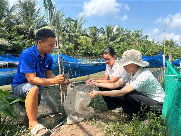 Nông nghiệp tuần hoàn - Hướng đi mới của nông dân Tân Minh
