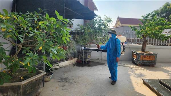 Phường Thạch Khôi chủ động triển khai các biện pháp phòng, chống dịch sốt xuất huyết