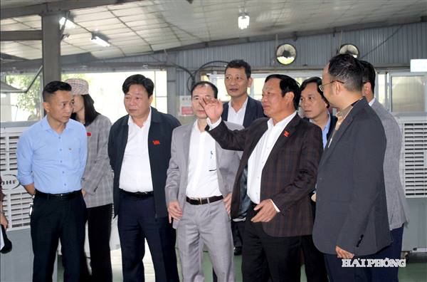 Xây dựng mô hình chủ nghĩa xã hội gắn với con người xã hội chủ nghĩa tại Hải Phòng: Những điều đã thấy - Bài 2: Kiến tạo hệ thống y tế hiện đại