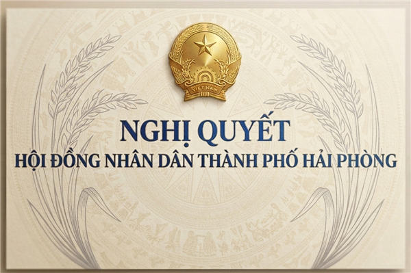 NGHỊ QUYẾT Quy định nội dung, mức hỗ trợ, thời gian hỗ trợ, tiêu chí và đối tượng được hỗ trợ thuê trực tiếp tài sản kết cấu hạ tầng khoa học và công nghệ không thông qua đấu giá để hoạt động 