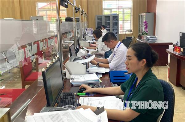 Hải Phòng công bố 625 thủ tục hành chính mới, thủ tục hành chính sửa đổi, bãi bỏ