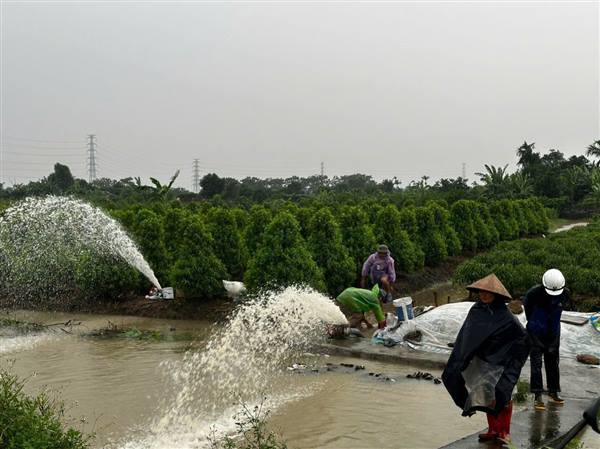 Chủ động ứng phó với bão số 4, hạn chế thấp nhất thiệt hại do mưa bão gây ra 

