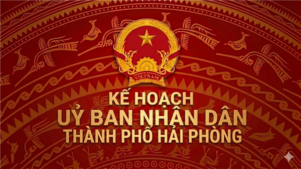 Kế hoạch Thực hiện Nghị quyết số 152/NQ-CP ngày 16/6/2026 của Chính phủ ban hành Chương trình hành động của Chính phủ thực hiện Chỉ thị số 56-
CT/TW ngày 24/12/2025 của Ban Bí thư về tăng cường sự lãnh đạo của Đảng đối với công tác ký kết, thực hiện các cam kết quốc tế