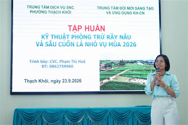 Tập huấn kỹ thuật chăm sóc và phòng trừ sâu bệnh hại lúa vụ mùa năm 2026