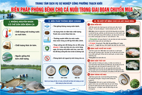 Trung tâm Dịch vụ Sự nghiệp công phường hướng dẫn biện pháp phòng bệnh cho cá nuôi trong giai đoạn chuyển mùa