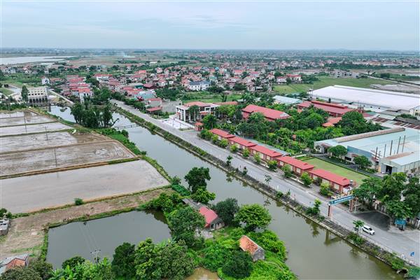 Giới thiệu tổng quan về xã Thái Tân, thành phố Hải Phòng