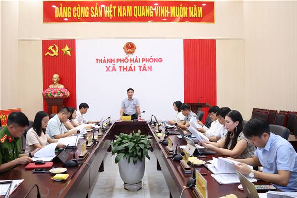 Đoàn Giám sát số 553 làm việc với Đảng ủy xã Thái Tân