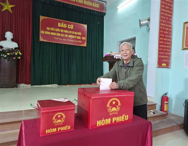 Thái Tân: Cử tri phấn khởi tham gia bầu cử, không khí ngày hội lan tỏa khắp các xóm, thôn