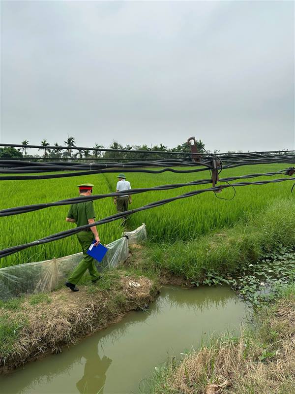 Công an xã Thái Tân tăng cường tuyên truyền, ngăn chặn hành vi dùng điện bẫy, diệt chuột
