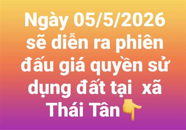 Thái Tân tổ chức đấu giá 14 lô đất tại điểm dân cư mới Uông Thượng