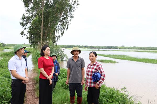 Thái Tân chủ động kiểm tra, khắc phục ngập úng do mưa lớn