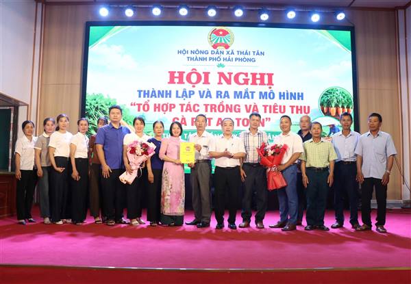 THÁI TÂN RA MẮT TỔ HỢP TÁC TRỒNG VÀ TIÊU THỤ CÀ RỐT AN TOÀN