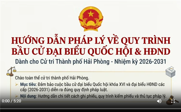 Hướng dẫn pháp lý về quy trình bầu cử Đại biểu Quốc hội và HĐND