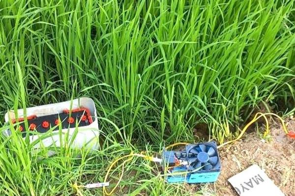 Công an phường Thành Đông - Cảnh báo nguy hiểm từ việc sử dụng bẫy điện để diệt chuột