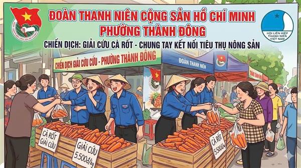 Đoàn Thanh niên phường Thành Đông chung tay hỗ trợ tiêu thụ cà rốt cho bà con nông dân