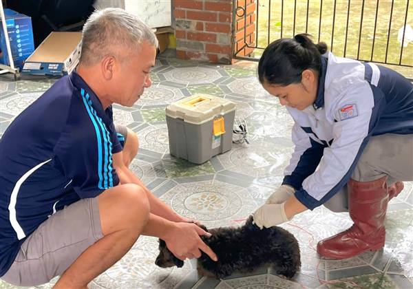 Xã Thanh Hà triển khai quyết liệt các biện pháp phòng, chống bệnh Dại