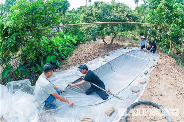 Bộ Nông nghiệp và Môi trường đề xuất cắt giảm mạnh thủ tục hành chính