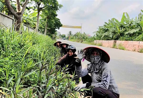 Phụ nữ xã Thanh Hà ra quân vệ sinh môi trường chào mừng ngày 30/4 và 1/5.