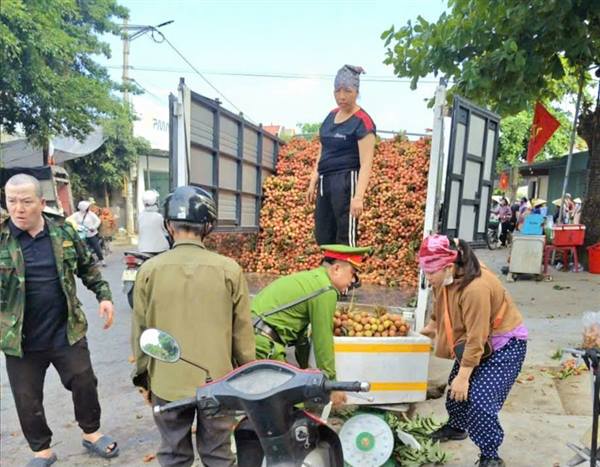 Công an xã Thanh Hà tăng cường đảm bảo trật tự công cộng phục vụ mùa tiêu thụ vải thiều năm 2026