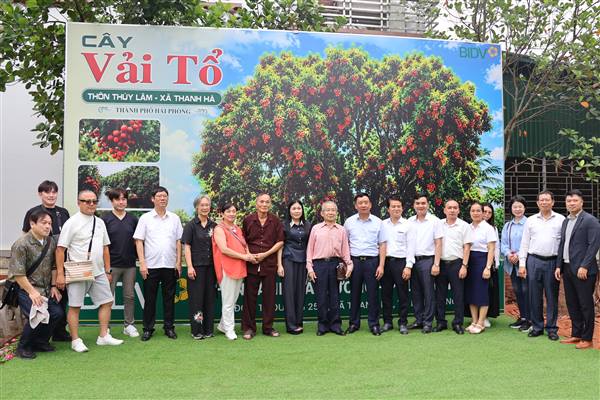 Đoàn doanh nghiệp, tổ chức và đại diện chính quyền địa phương Nhật Bản thăm và làm việc tại xã Thanh Hà