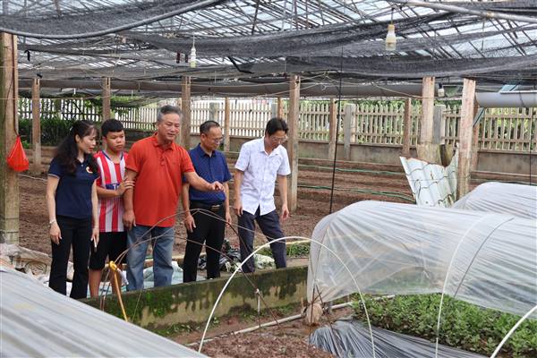 Lãnh đạo xã Thanh Hà kiểm tra, chỉ đạo tiêu úng, bảo vệ sản xuất nông nghiệp sau mưa