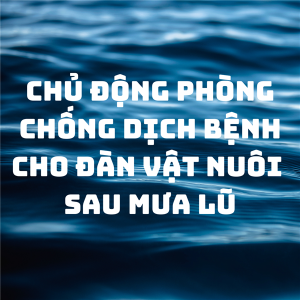 Công văn Về việc chủ động phòng chống dịch bệnh cho đàn
vật nuôi sau mưa lũ