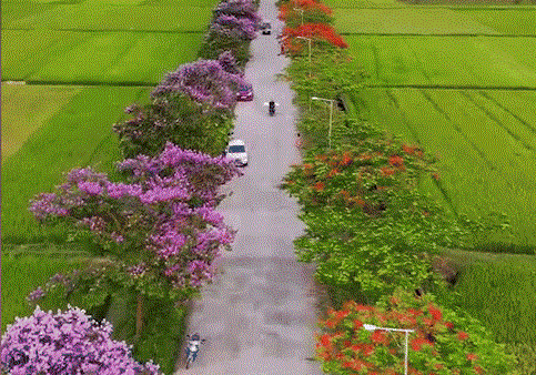 TỰ HÀO THANH MIỆN – VÙNG ĐẤT ĐỊA LINH NHÂN KIỆT