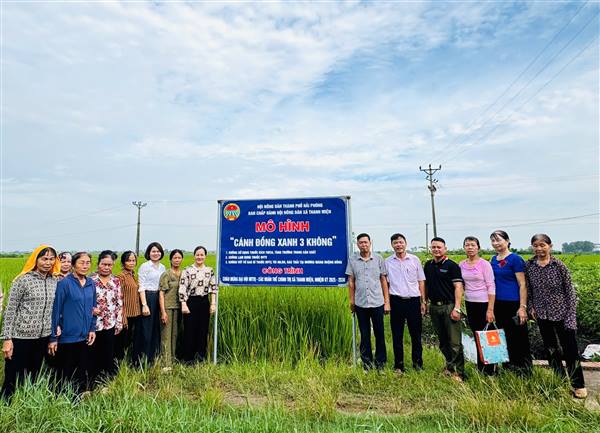 Hội nông dân xã Thanh Miện ra mắt mô hình “Cánh đồng xanh 3 không” tại thôn Hoà Bình