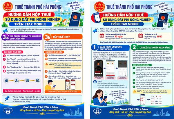 Thanh Miện đẩy mạnh tuyên truyền, hướng dẫn người dân nộp thuế đất phi nông nghiệp qua ứng dụng eTAX Mobile