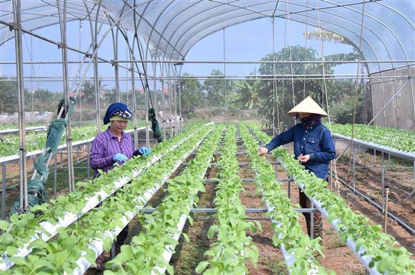 Khoa học công nghệ, đổi mới sáng tạo là 'đầu kéo' tăng trưởng