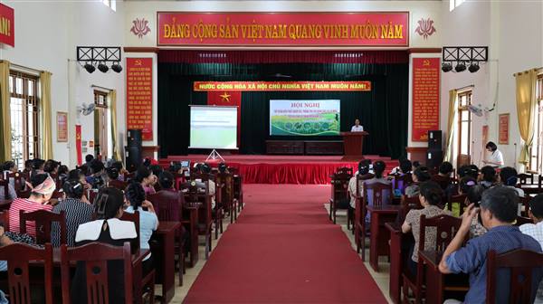 Thanh Miện tổ chức tập huấn kiến thức chăm sóc, phòng trừ sâu bệnh lúa vụ Mùa năm 2026