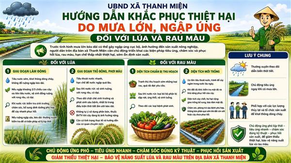 Hướng dẫn khắc phục thiệt hại do mưa lớn, ngập úng đối với lúa và rau màu