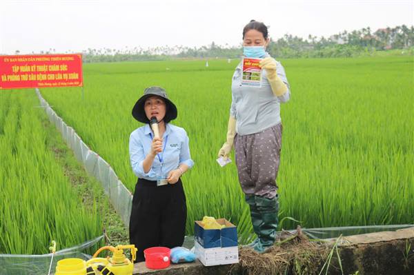 Phường Thiên Hương: Tập huấn kỹ thuật chăm sóc, phòng trừ sâu bệnh và cơ giới hóa sản xuất lúa vụ Xuân 2026