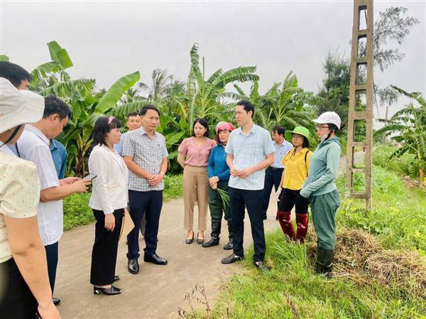 Chủ tịch UBND xã trực tiếp xuống thăm đồng và đôn đốc bà con nông dân phòng trừ sâu cuốn lá nhỏ lứa 5, bảo vệ sản xuất vụ mùa