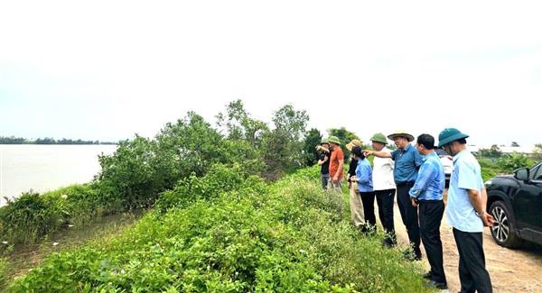 Lãnh đạo xã Tiên Minh kiểm tra thực địa công tác phòng, chống bão số 3 tại một số điểm xung yếu trên địa bàn