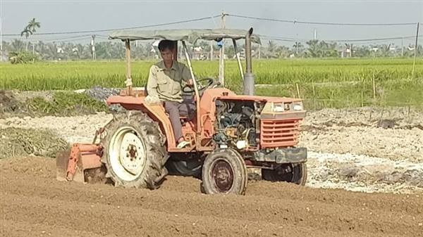XÃ TIÊN MINH: KHẨN TRƯƠNG XỬ LÝ ĐẤT, MỞ RỘNG RAU MÀU NGẮN NGÀY, TĂNG VỤ SẢN XUẤT VỤ ĐÔNG 2026