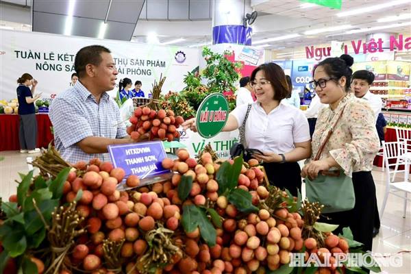Dự kiến 700 - 1.000 doanh nghiệp tham gia Tháng khuyến mại Hải Phòng