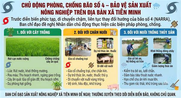 CHỦ ĐỘNG PHÒNG, CHỐNG BÃO SỐ 4 – BẢO VỆ SẢN XUẤT NÔNG NGHIỆP TRÊN ĐỊA BÀN XÃ TIÊN MINH
