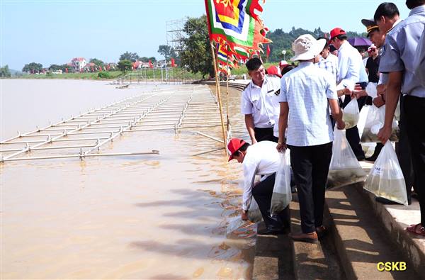 LỄ THẢ CÁ TÁI TẠO NGUỒN LỢI THỦY SẢN TRÊN SÔNG LỤC ĐẦU TẠI LỄ HỘI MÙA THU CÔN SƠN - KIẾP BẠC 2025
